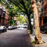 Discover Brooklyn Heights: A Hidden Gem in NYC with Historic Charm Discover Brooklyn Heights: A Hidden Gem in NYC with Historic Charm