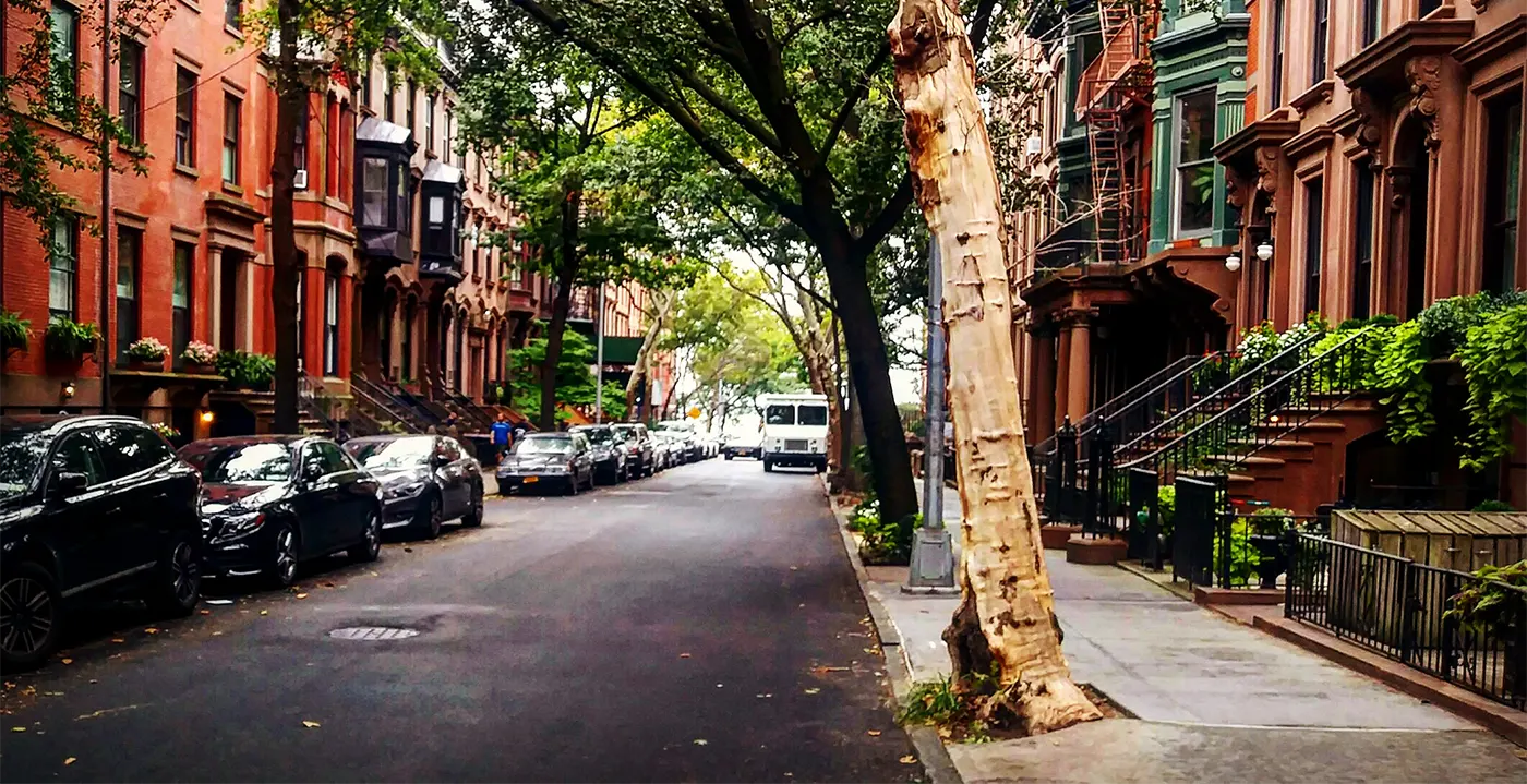 Discover Brooklyn Heights: A Hidden Gem in NYC with Historic Charm Discover Brooklyn Heights: A Hidden Gem in NYC with Historic Charm