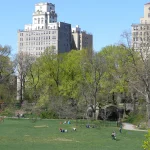 Discover the Best Activities in Prospect Park, Brooklyn – A Guide