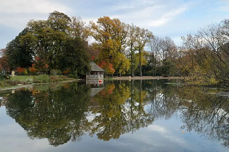 Trip and Fall Accidents in Prospect Park Trip and Fall Accidents in Prospect Park