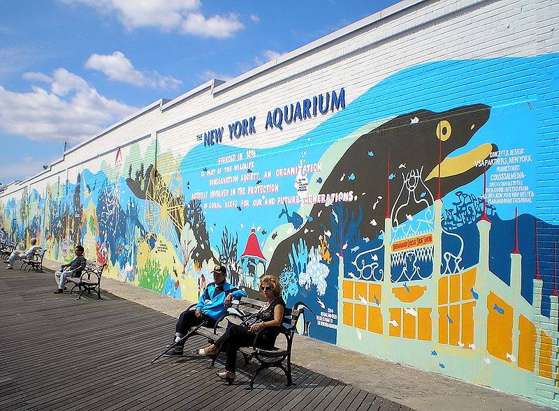 Trip and Fall Accidents in New York Aquarium