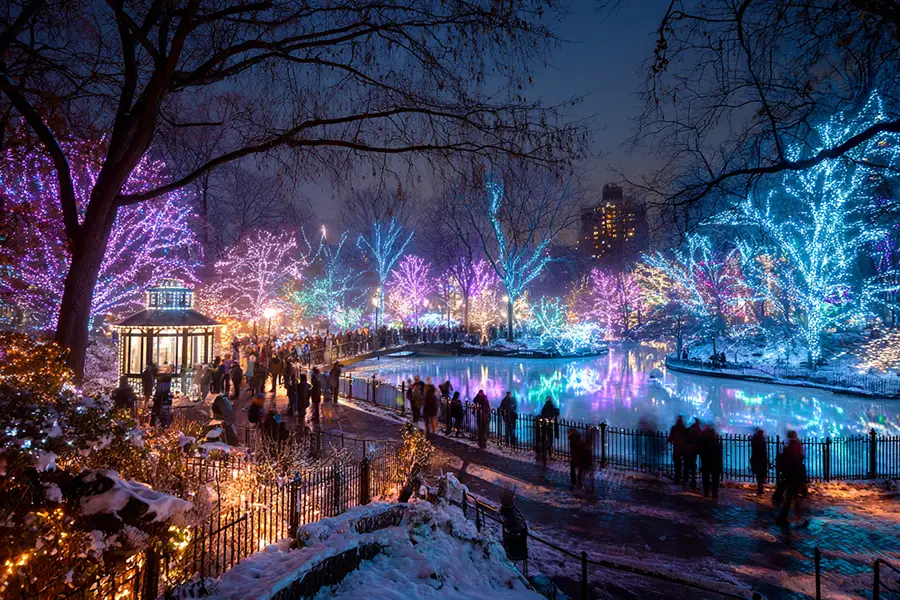 Hurt at Dyker Heights Christmas Lights? Get Legal Help Now Hurt at Dyker Heights Christmas Lights? Get Legal Help Now